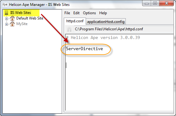 server config server-wide directive
